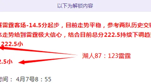 欧洲杯赛场外风云：莱万娇妻安娜领衔“太太团”C位争霸